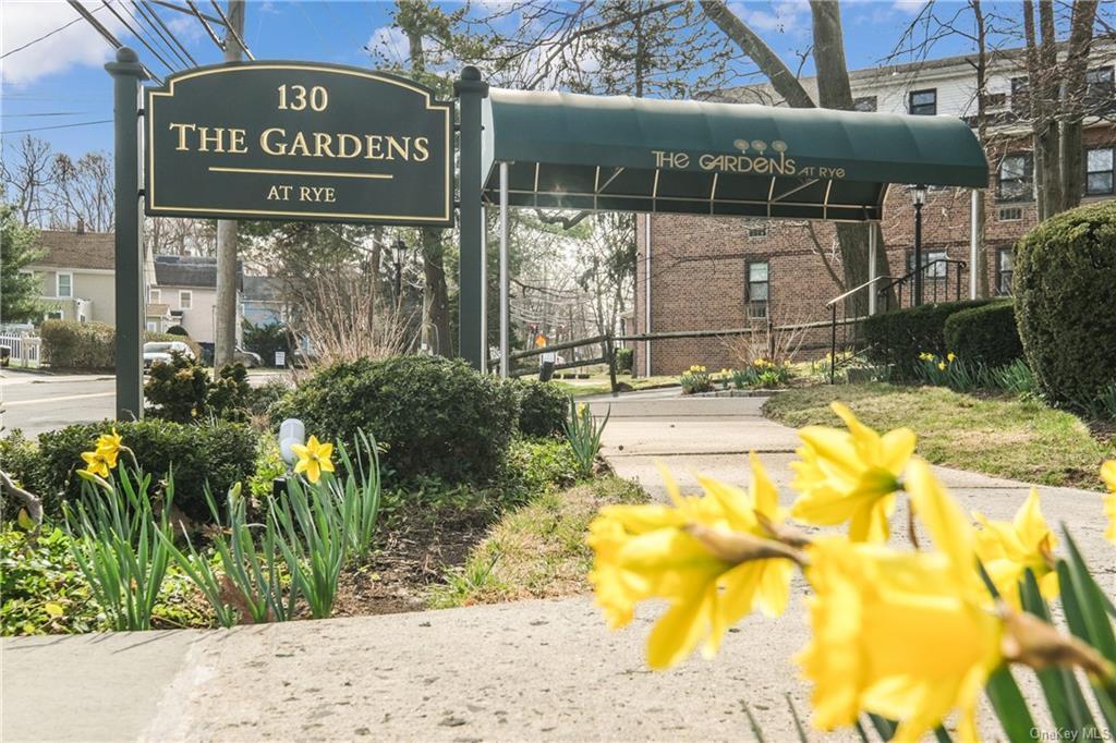 130 Theodore FremdGardensRye